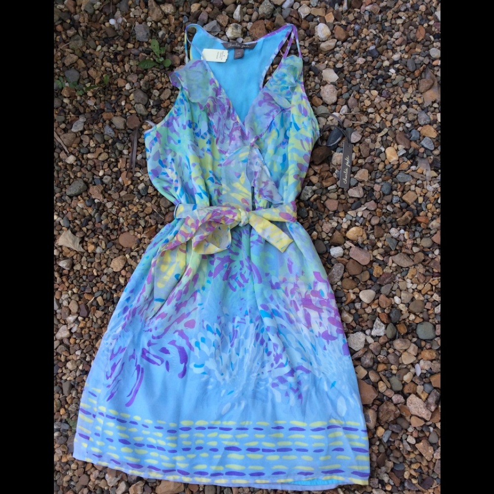 Charlie Jade dress
